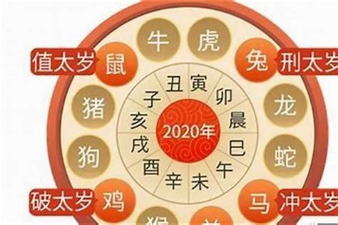 2024年属虎运势|属虎人2024年运势及运程详解 属虎人2024年运势及运程每月运程